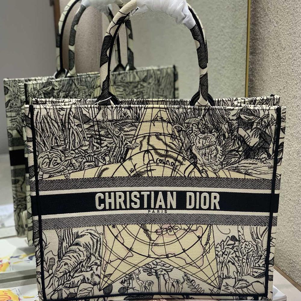 Dior Book Tote