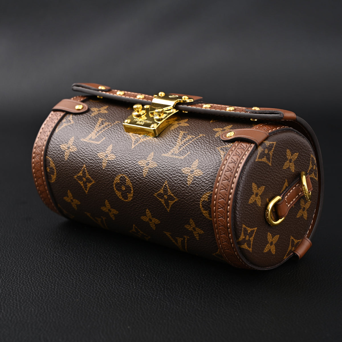 Louis Vuitton Cannes Monogram Canvas Bag