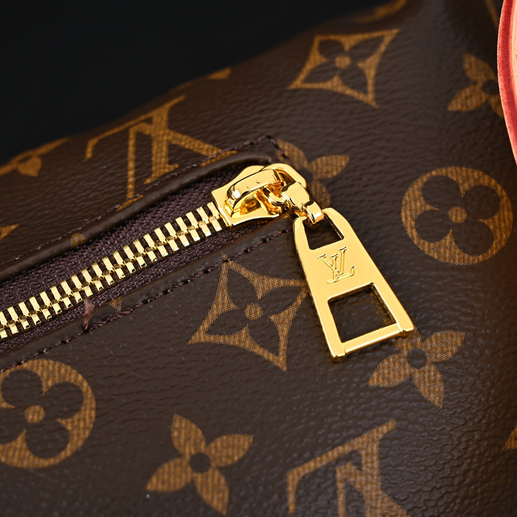 Louis Vuitton Bumbag – Monogram Canvas Waist & Crossbody Bag